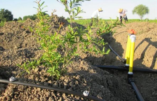 فروشگاه بزرگ انواع شیلنگ های کشاورزی