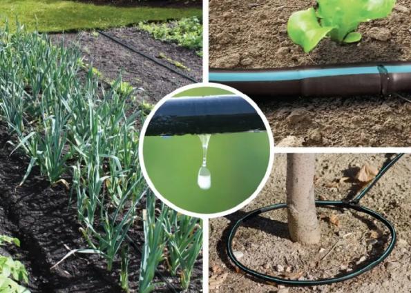 توزیع عمده شیلنگ های صنعتی و کشاورزی در کشور