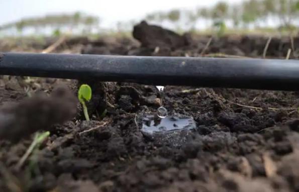 ویژگی های بهترین شیلنگ آبیاری قطره ای