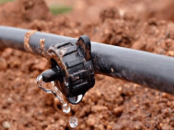 مشخصات شیلنگ های آبیاری قطره ای