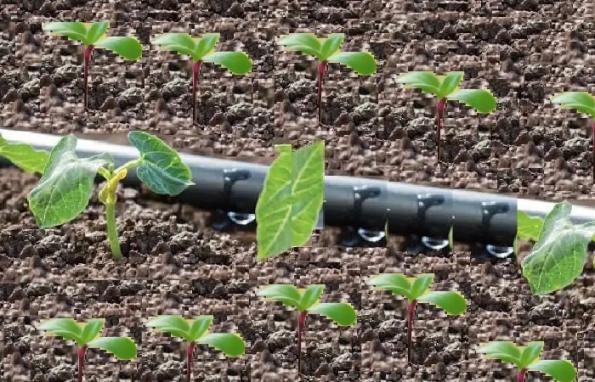 مرکز تولید انواع شیلنگ های آبیاری در ایران